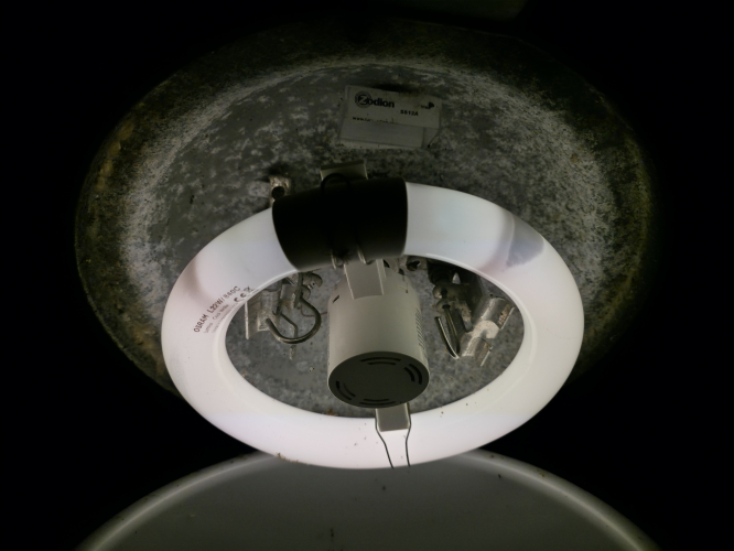 Here is the osram 22w circline on its last day before being removed
This tube has done well lasting a year on nightly service. Its not a strict test because the lamp was used when I put it in.
