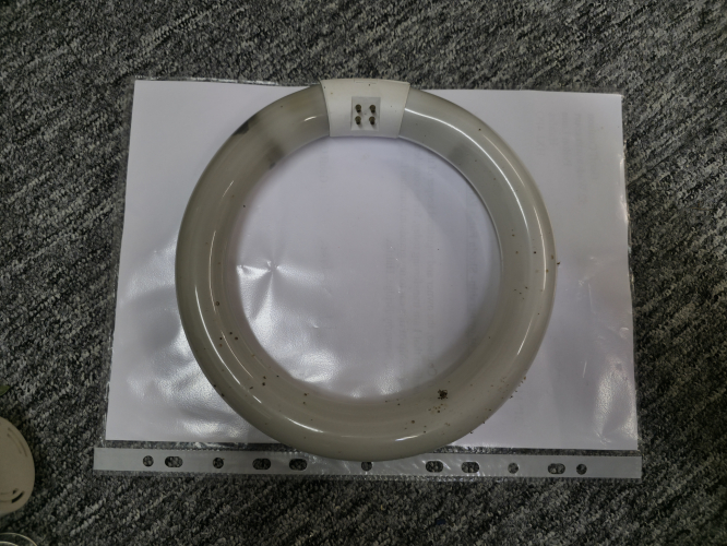 Modern osram 22w circline been on test for a year
Look how hammered it is!
