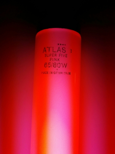 Atlas super 5 pink
This turned up today, seems completely nos.
