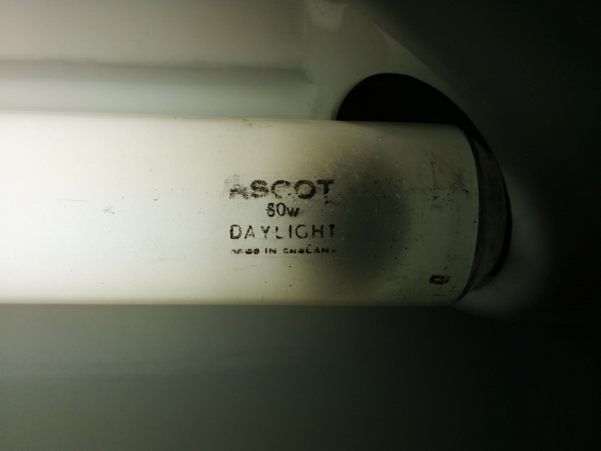 Ascot daylight BC tube
Never seen on of these till now

