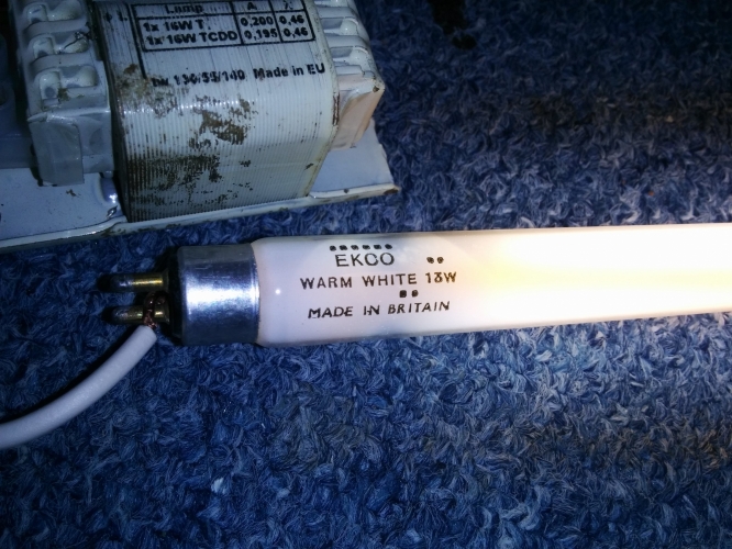 Ekco 13w warm white
Found this at the tip today
