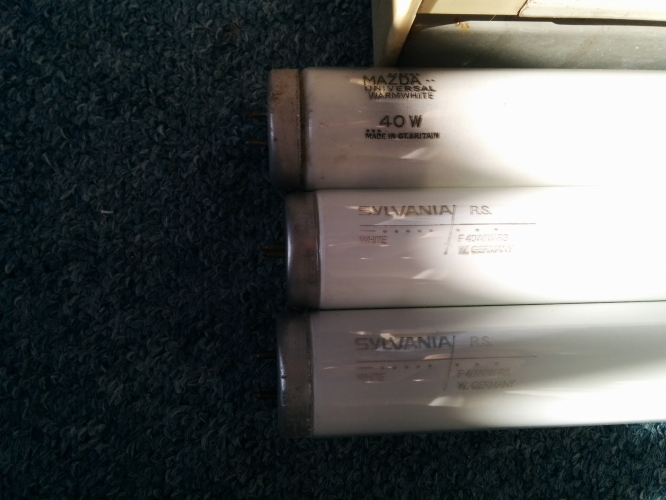 Some 40w tubes I got today

[IMG]http://80.229.24.59:9232/icon/ftube.png[/IMG]
