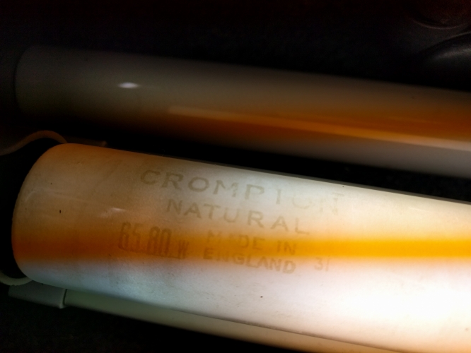 Crompton (endura) natural
