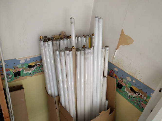 All my 4ft 5ft 6ft and some 3ft fluorescent tubes
That mold on the wall has been sorted but it won't come off
