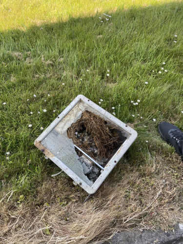 Crompton darksky fire 
Glass smashed and a bird made its nest in there fire brigade had a callout which then set the birds nest alight lol
