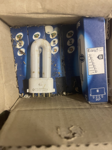 Tiny PL-S 4 pin 3W found
Thought I lost this in the extensive horde but found it tonight with help from Danny 
