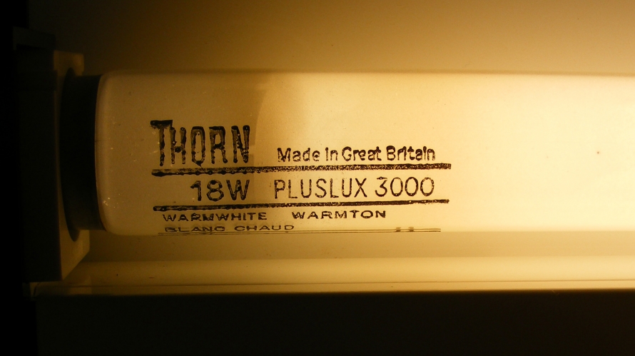 Thorn 2' 18W Pluslux 3000 Warm White
Lit for the first time, with the Arrowslim it came with.
