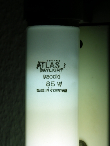 Atlas 6' 85W Daylight (Cool White)
