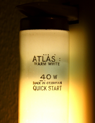 Atlas 4' 40W Warm White
Very well used, other end is black and blue.
