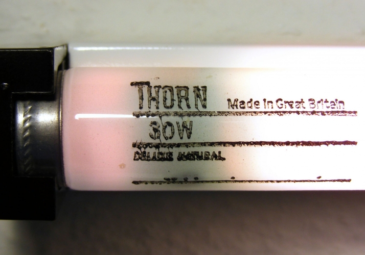 Thorn 3' 30W Deluxe Natural
Unshielded and very well used.

