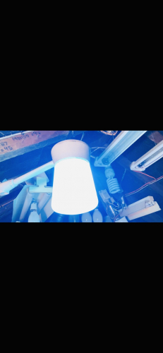 Screenshot from a video of ignition!
This bright blue flash is the 23,000 volt ignition of these auto halides! 
