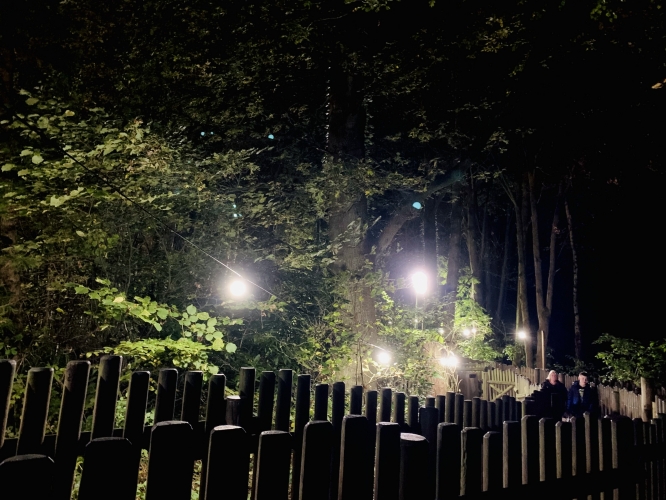 Th13teen queue line 
Th13teens queue line in the dark forest sector is lit with 6000K LEDs in festoons threaded in the trees, not evident on the photo, but it gives a moonlight effect which looks quite good 
