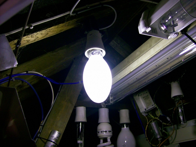 EOL 150watt GE SON-E running up
3 minutes in, its a really bright blue colour, like a coated mercury lamp, then the sodium colour come in all of a sudden in the last 10 seconds.
Voltage:	Measured at 172 V at this stage
Current:	Measured at 1.4 A at this stage

