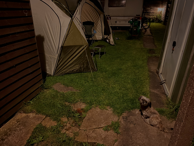 Arc80 night shot 
Same night shot I did for the LED, but instead of Ash who we sadly lost last October, our new pooch Nala got in on the photo!, the lumens output on the lawn is similar to the LED, but the LED can’t touch Osrams Interna 41 colour!
