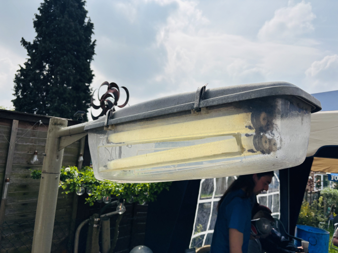 Quad tube fluorescent 
Special construction fluorescent for Blackpool, don’t remember the model now though?
