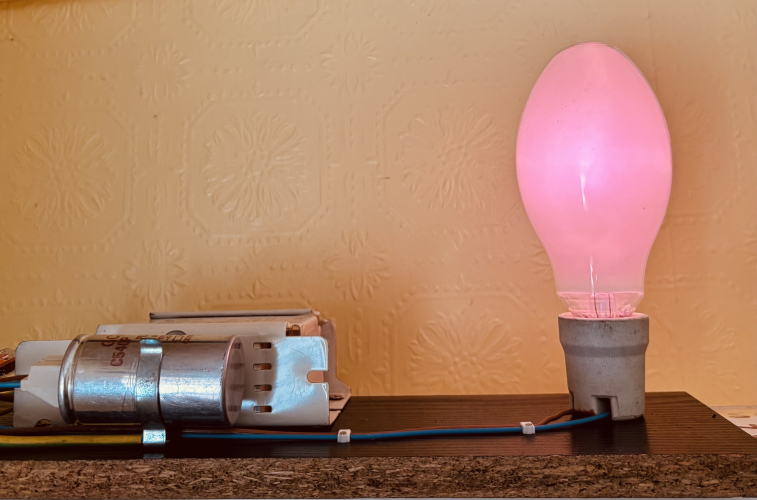 GE super deluxe mercury lamp
On start it’s a very deep pink, but you can immediately see the warmth in it from the wall reflection!
