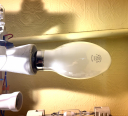 IMG_5486.jpeg