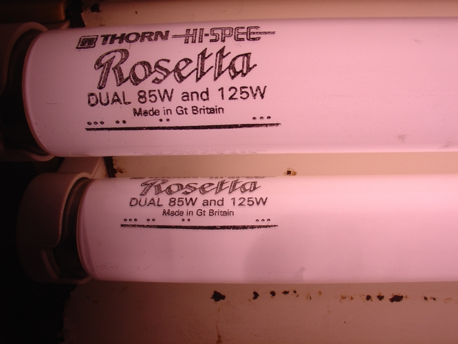 Rosetta 8 foot tubes lit
