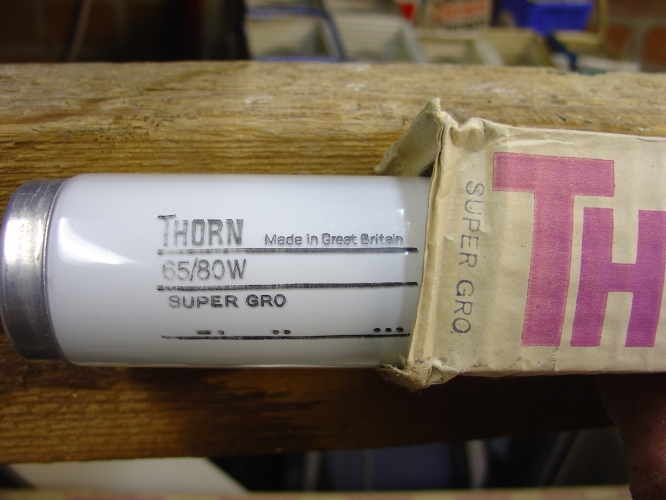 THORN EARLY 80'S SUPER GRO 5 FOOT 65/80W NEW
