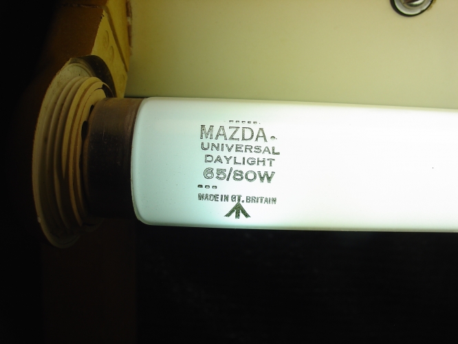 War department arrowed mazda universal Daylight tube in thorlux fitting
