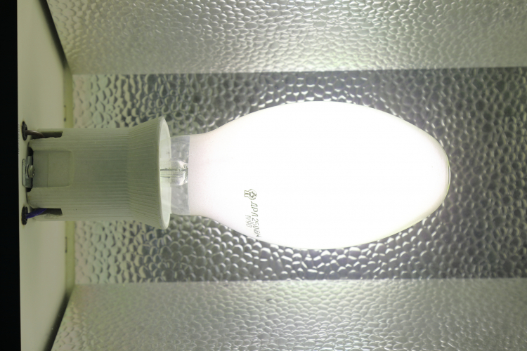 250w Lisma DRL 250(6)-4: Full Power
1 x 250w Soviet Mercury vapour lamp at full power.
The phosphor on this lamp is quite thin indeed and the colour of the light is pretty horrible tbh!

The (6) in the name denotes the red content iirc so this was designed for street lighting use where CRI is not important!

