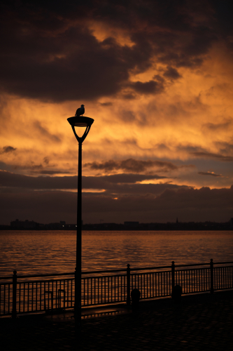 Sunset Streetlight.
Looks good even if it is some shitty LED thing..
