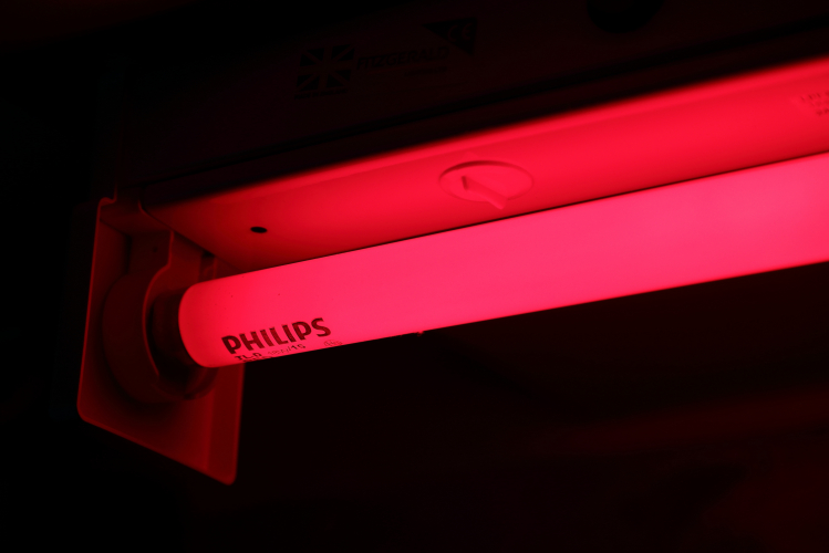 18w Philips TL-D RED
1 x 18w Philips coloured fluorescent lamp at full power.
It's a very nice deep saturated red! Not very bright though, perfect for night lighting.
