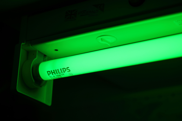 18w Philips TL-D GREEN
1 x 18w Philips green fluorescent lamp at full power.
Nice and bright with a good saturated colour!
