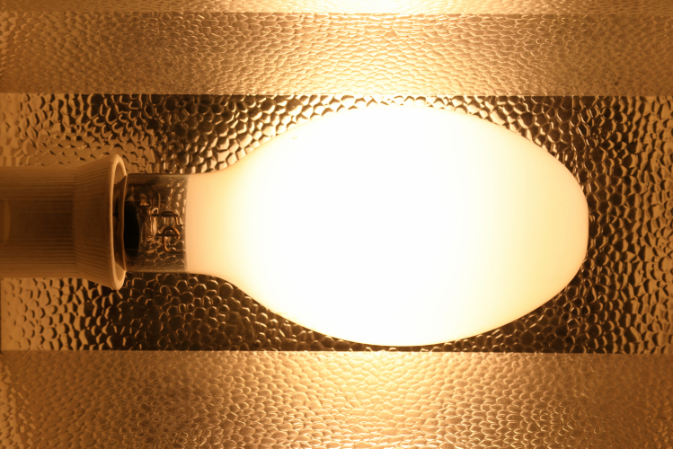 400w Thorn SON Deluxe: full power.
1 x 400w Thorn Deluxe high pressure sodium running at full power.
Deluxe SON lamps have a cooler colour temperature than standard SON lamps and also have a much higher CRI which is better than mercury vapour and some fluorescent!
The only downside is reduced efficiency and lifespan due to the higher temperatures and pressures that these lamps run at.

12,000h
34,000lm
2200k @ CRI 65
