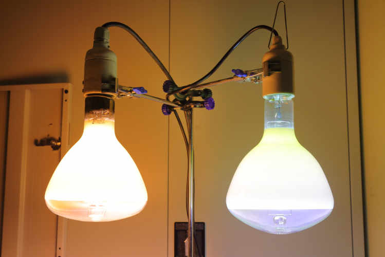 400w SON-R vs MBF-R
1 x Osram 400w SON-R and 1 x 400w MBF-R at full power.
It's interesting just how much brighter the SON-R is!
