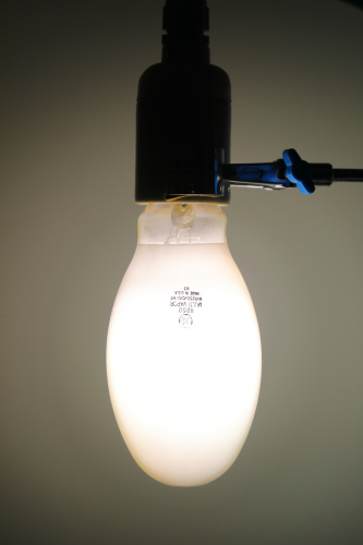 250w GE Multi-Vapor MVR250: Full Power
1 x 250w GE coated elliptical quartz metal halide lamp at full power.
Quite a nice light with a slight yellowish tint typical for these types of lamps.
