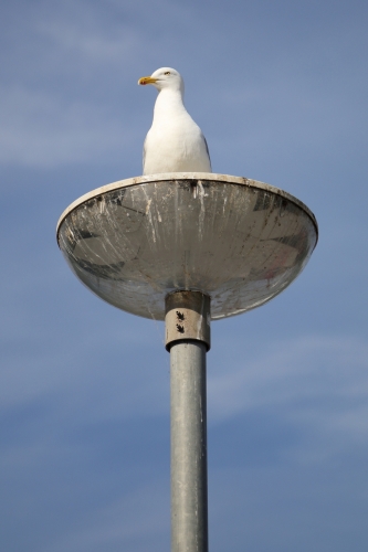 Bird toilet.
About the only thing it is good for...

I do like the hexagonal modules though.
