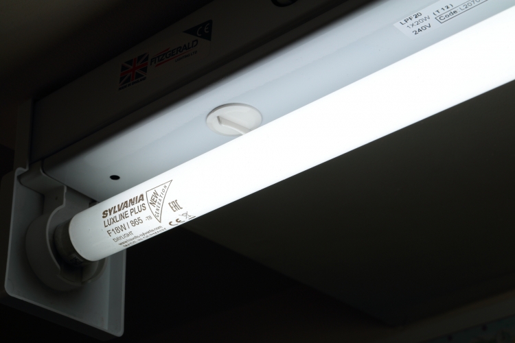 Sylvania 18W T8 Luxline Plus 865
Seem decent lamps tbh.

6500k
1300lm
20,000h
