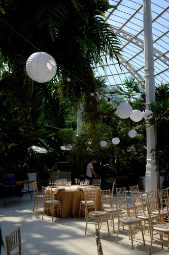 "Chinese lantern" style festoon shades.
Spotted these in the interior of the Palm House in Sefton Park, Liverpool.
They hold events like wedding receptions and posh dinners and even live candle lit music at night inside.

I bet these look really nice at night!
