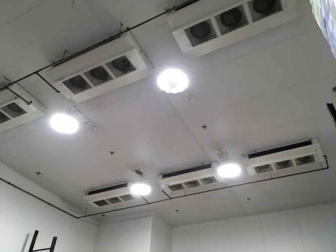 Mega bright Costco Low bays.
They use a special type of LED low bays in the coldroom which is different from the retrofits they use in the main hall.
They are a ring type and are fucking bright! 
The outlines you can see between the evaporators are where the old metal halide high bays used to be.
