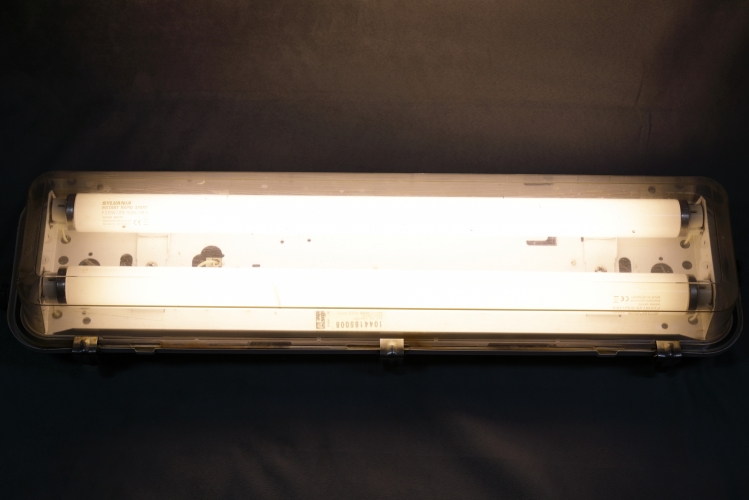 Aqua-Signal 1044 2 x 20w 24vDC. Full Power.
1 x Aqua-Signal 1044 marine fluorescent luminaire for 2 x 20w lamps.

The luminaire came with two Philips 18w T8 lamps but as the sticker says 20w I grabbed the first set of T12 lamps that came to hand and whacked them in for the photo.
530 is a horrible colour tbh!!!
The startup is like a very fast SRS fade in.

These are incredibly robust IP67 fittings and can be found on ships all over the world.
They are available in a variety of control gear such as 240 and 110v AC in switch-start and HF. They are also, like this one, available in 24vDC.
The luminaire body is available in either 316 stainless or zinc plated steel. 

MFD September 1994
