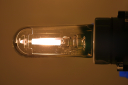 387A7292b.JPG