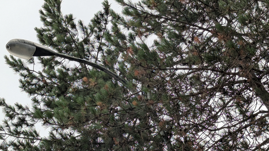 AEG Stradasole Classic Central Milton Keynes 
 I was curious to see if this installtion still remained knowing the LED replacement was done 2 years ago in Central MK, thankfully these all remain including the AEG casual replacement lanterns Urbis Sapphire 2s and Philips SGS203s. 

These were all converted by the council in 2012 from 150w SON to 100w CDO TT. These either remain due to being privately owned or due to the cars always being here can not be replaced
