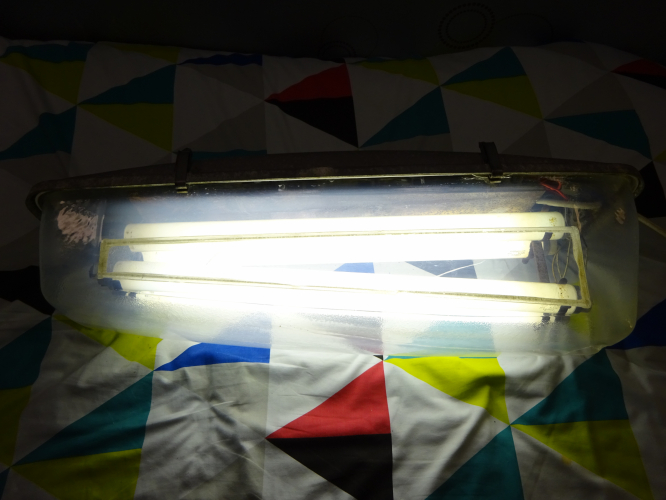 GEC Z8256 lit
Recently acquired into the collection is this incredibly special, and as far as is known one off GEC Z8256 (not to be confused with the Z8526 – That's a 250w/400w MBF/SON Turtle) fluorescent lantern to survive in a collection. The reason I say ‘one off’ is because its a Blackpool special.

Typically these lanterns are seen with two 40w 2’ tubes, indeed all other examples I’ve seen have this lamp configuration. However this special variant takes four 20w 2’ tubes. The idea is that after midnight, two tubes would switch off allowing dimming through the rest of the night, likely till around half five in the morning.

I bought it from a collector who had rescued it originally in the 80’s, who then simply placed it in his garage and left it untouched until I hosted a lighting meet, and he bought it along. We decided it need to be lit, and having put some wire to it, the lantern shrugged off the disuse and sprang into life after 40 years of not having any power to it. Beat that LED! He then exclaimed he might be looking to sell it, and after I made an offer, he accepted and here we are now.

The lantern features a rather well proportioned wedge shape bowl, and considering the lower tubes follow the bowls profile, I imagine it done an impeccable job of lighting the road. The bowl is sadly cracked and broken, but what goes for it is how clear it is, its incredibly well preserved all things considered. I carefully glued all the cracks and splits back together, and then wet dry sanded the edges to try and hide the damage as much as possible. Its not completely gone, but its a massive improvement, restoring some rigidity back to the fragile bowl. One large hole is yet to be filled in, however I’ve sourced a wrecked Alpha 9 with a perfect matching area in which I can cut off and fit to this bowl.

The gear inside is immaculate, which is shocking considering where it was once installed, Blackpool quite frequently has salty sea mist blowing over, its why I call it the lantern destroyer town. No doubt only seeing 20 years service is the reason why its survived as well as it has.

So now for restoration, this will see a full restoration as per usual, and then its ready for decades more service.
