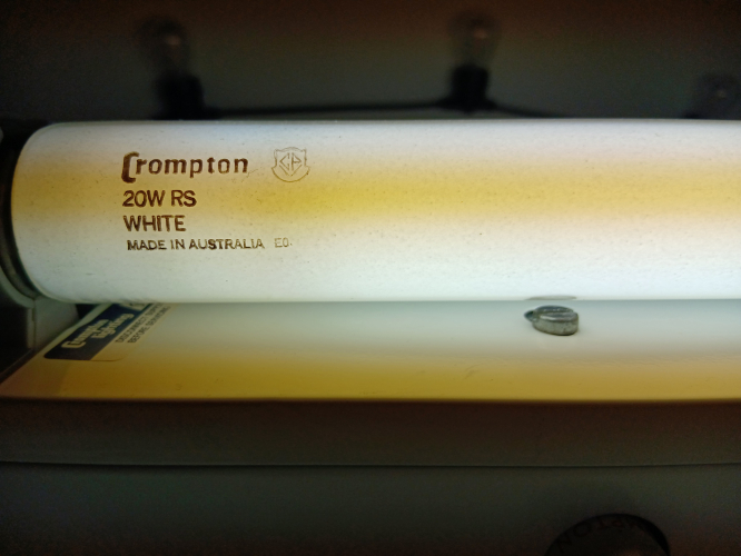 20w Crompton RS White
Australian made Crompton tube. Got in a trade many moons ago from Al M
Tube is shielded & has done quite a lot of hours. has that 'mottled' phosphor finish that Crompton & some Philips tubes have.
Also, despite being labelled as 'White' it is in fact 4200k cool white (apparently, that’s how it is in Oz.
Keywords: 20w Crompton RS White