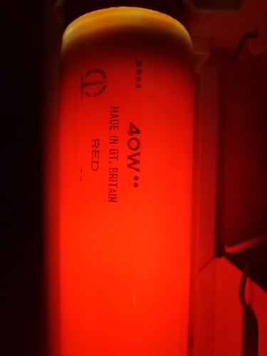 BLI THORN 40w Red
one of 2 40w 2 foot coloured tubes I have
