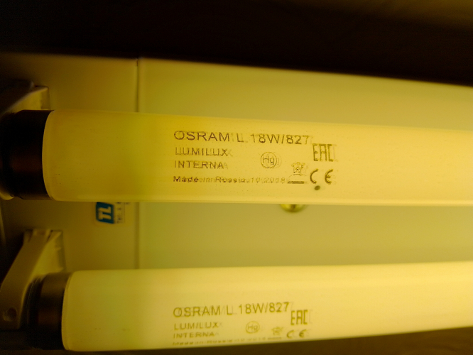 Russian Osram lumilux interna 18w/827 T8's
these are running in my other Thorlux twin electronic ballasted fitting. despite being shielded, they develop nice wear marks, and seem to do the hours. I picked up a few in the homebase clearance bin for 50p each a few years ago.
They are not quite as yellow as the picture shows, more of a peachy orange colour.
