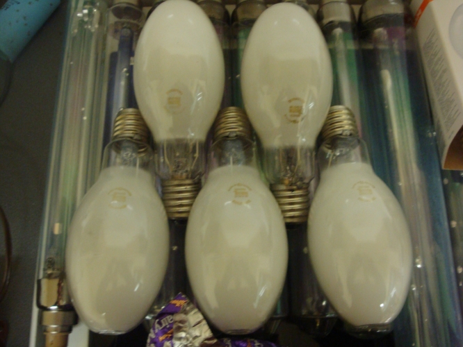 5x thorn mbi/f lamps
see ebay for sale note on these
