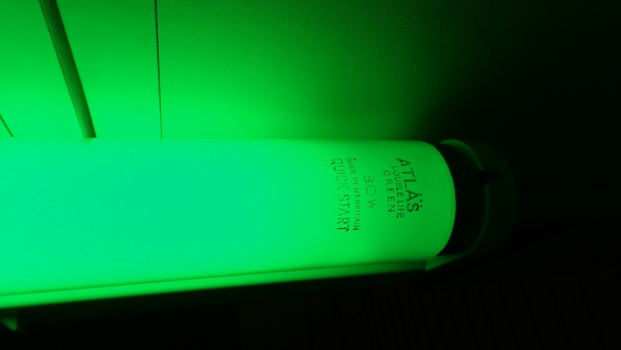ATLAS 30W T12 Green
New and bright on first power-up.
