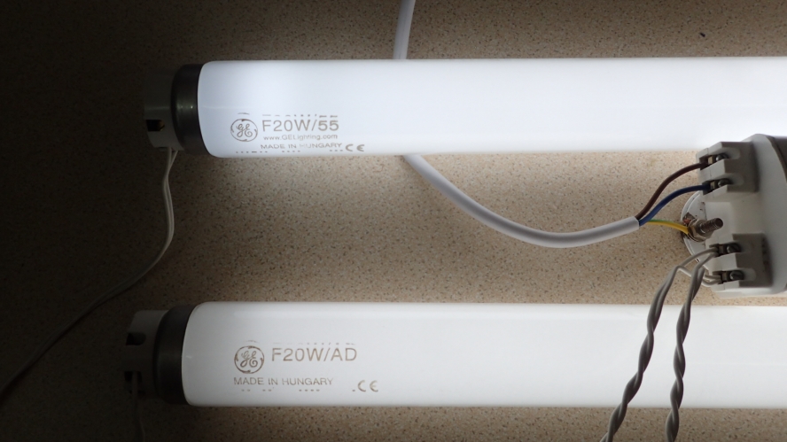 GE 20W Northlight 55 + Artificial Daylight comparison
To the naked eye there is little to no discernible difference, except perhaps the AD is a fraction dimmer and more 'mellow', for want of a better word. Thanks to Andy for the AD.
