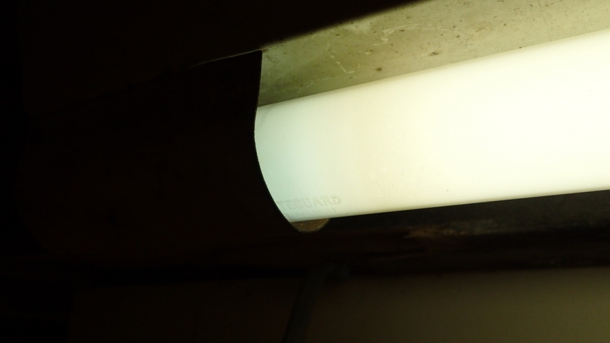 Osram LITEGUARD 5' 80W BC Daylight
Shown in another thermal starter'd BC fitting in regular use in my cellar.
