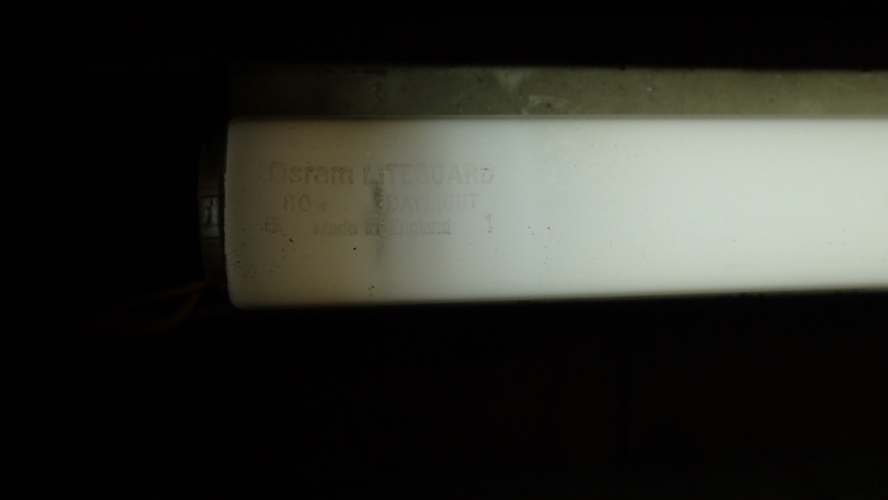 Osram LITEGUARD 5' 80W BC Daylight
Shown in another thermal starter'd BC fitting in regular use in my cellar.
