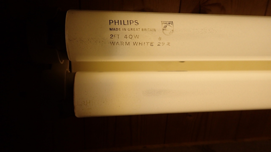 Philips 2' 40W Warm White
Shown in converted Fitzgerald switchstart from the 70s.
