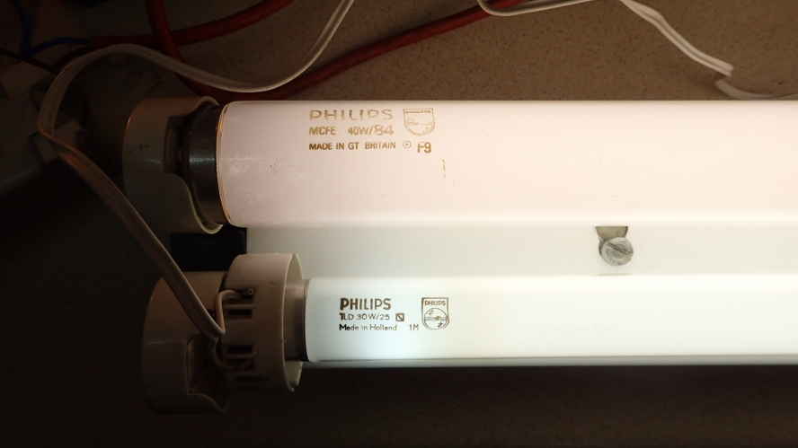 Philips 4' 40W/84 cf Natural
The 40W Col 84 is bright. It compares very closely with Philips 30W Natural 25. It looks closer to the naked eye than to the camera. (Thorn Natural is pinker.)
