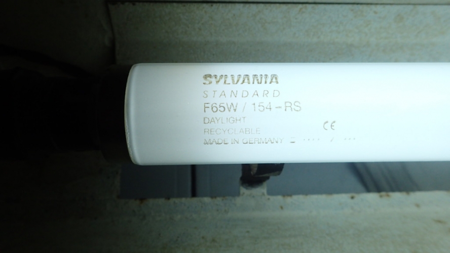 Sylvania 5' 65W BC Daylight 154
Relatively modern tube with plastic BC add-ons
